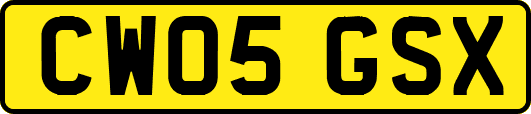 CW05GSX