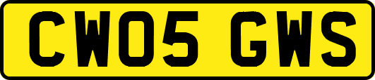 CW05GWS