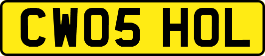 CW05HOL