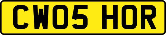 CW05HOR