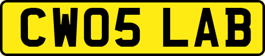 CW05LAB