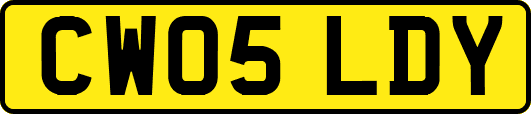 CW05LDY