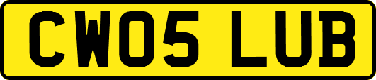 CW05LUB