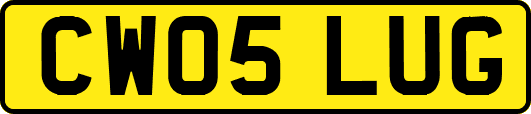 CW05LUG