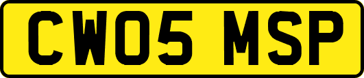 CW05MSP