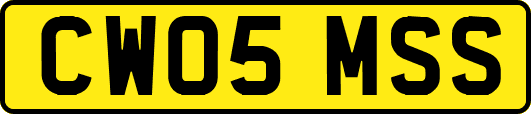 CW05MSS