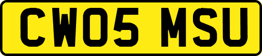 CW05MSU