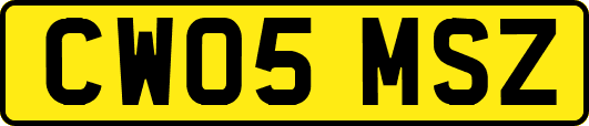 CW05MSZ