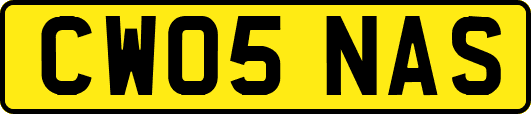 CW05NAS