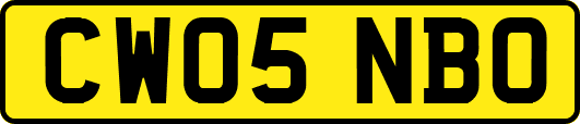 CW05NBO