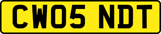 CW05NDT