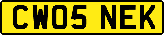 CW05NEK