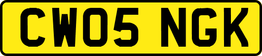 CW05NGK
