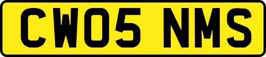 CW05NMS