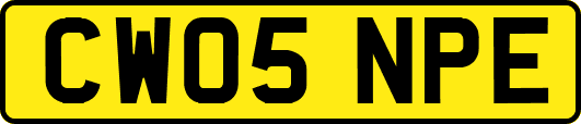 CW05NPE