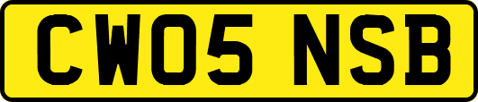 CW05NSB