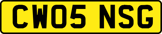 CW05NSG