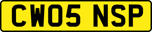 CW05NSP
