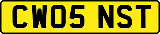 CW05NST