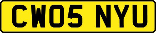 CW05NYU