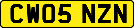 CW05NZN
