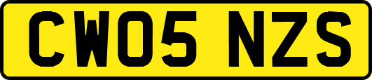 CW05NZS