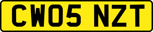 CW05NZT