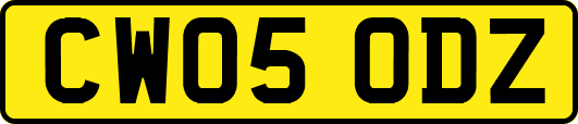 CW05ODZ