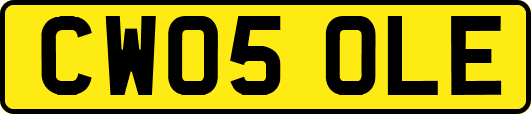 CW05OLE