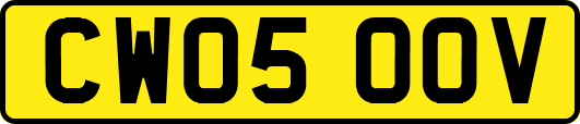 CW05OOV