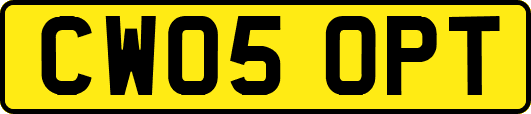 CW05OPT