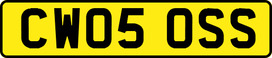 CW05OSS