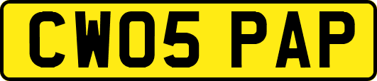 CW05PAP