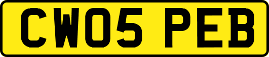 CW05PEB