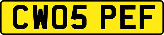 CW05PEF