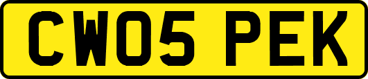 CW05PEK