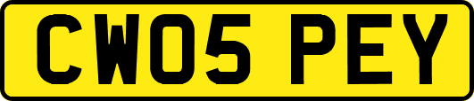 CW05PEY