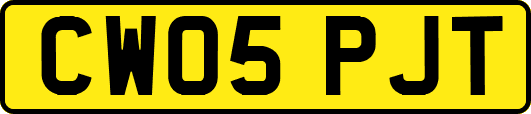 CW05PJT
