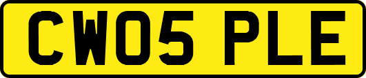 CW05PLE