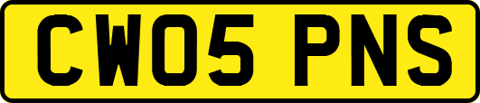 CW05PNS