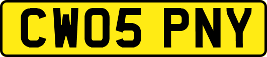 CW05PNY