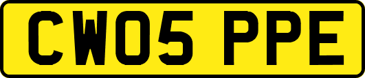CW05PPE