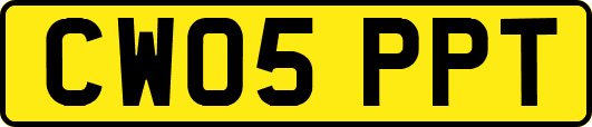 CW05PPT