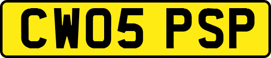 CW05PSP