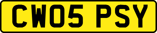 CW05PSY