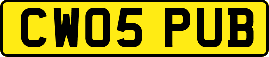 CW05PUB