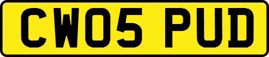 CW05PUD