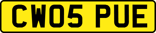 CW05PUE
