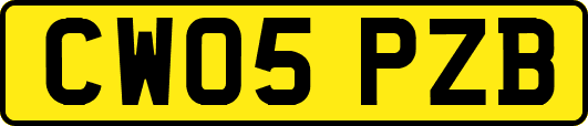 CW05PZB