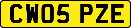 CW05PZE